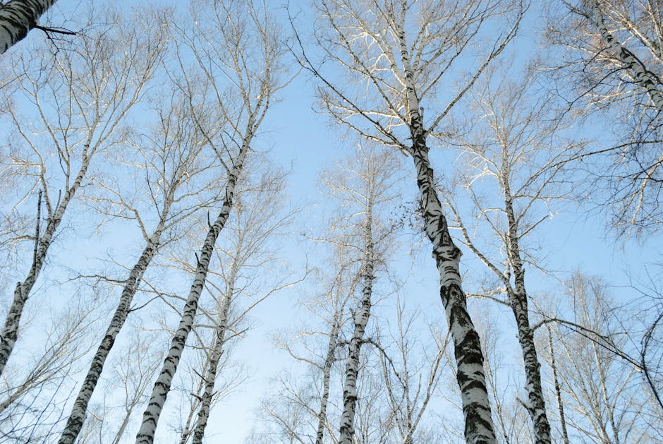 Persoană studiază online pe laptop